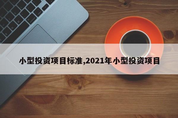 小型投资项目标准,2021年小型投资项目