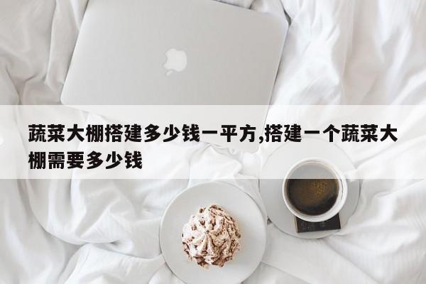 蔬菜大棚搭建多少钱一平方,搭建一个蔬菜大棚需要多少钱